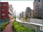 神田川沿道