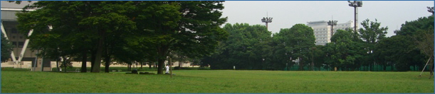 有明テニスの森駅