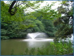 井の頭恩賜公園
