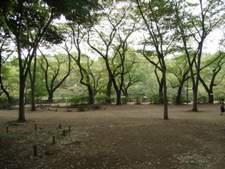 井の頭恩賜公園