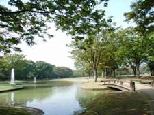 代々木公園